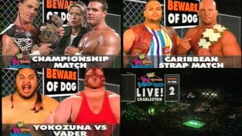 WWE In Your House 8 Beware of Dog Review TJR Wrestling