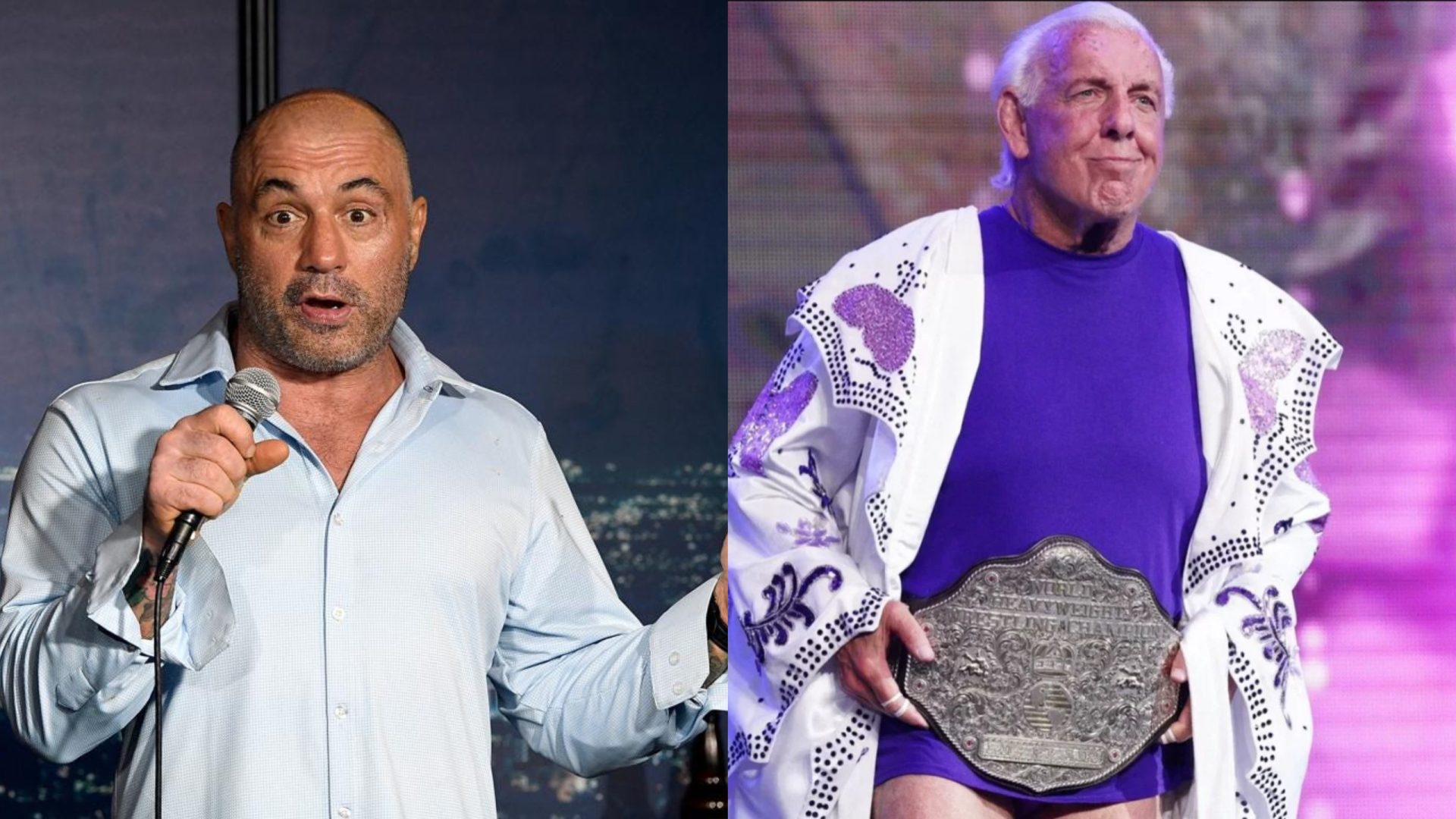 Ric Flair Calls Out Joe Rogan For Criticizing The Figure Four