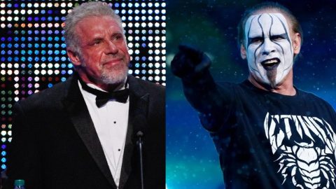 WWE Hall Of Famer Calls Sting & Ultimate Warrior 