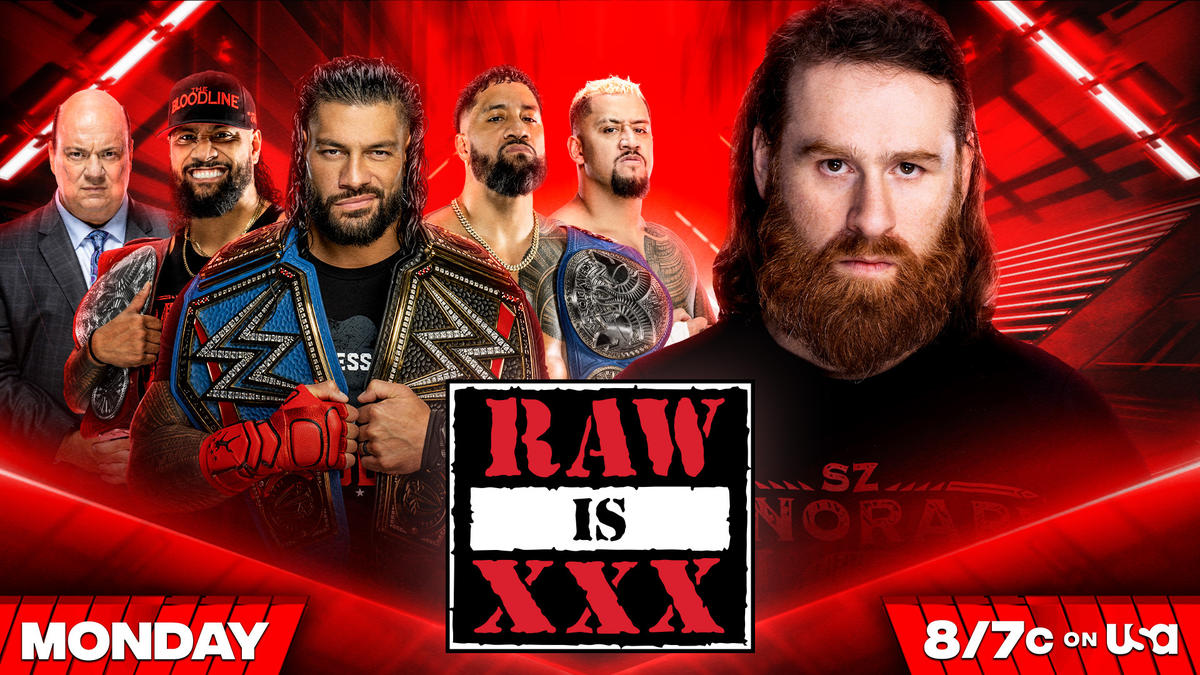 Wwe monday night raw 30th anniversary