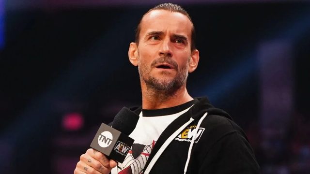 aew wrestling cm punk