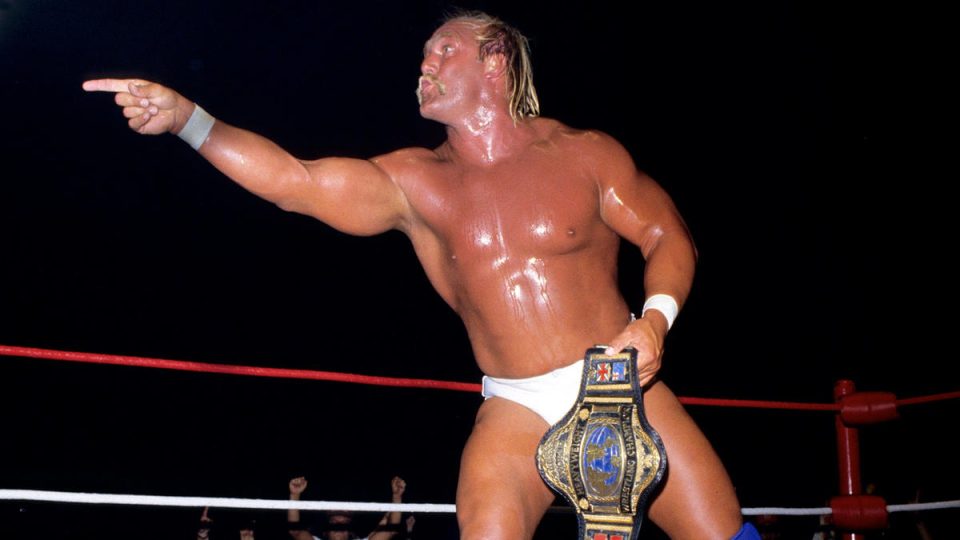 Hulk Hogan World Title