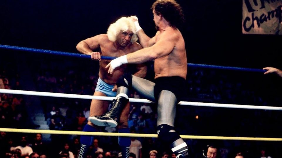 Terry Funk vs Ric Flair Clash of the Champions IX