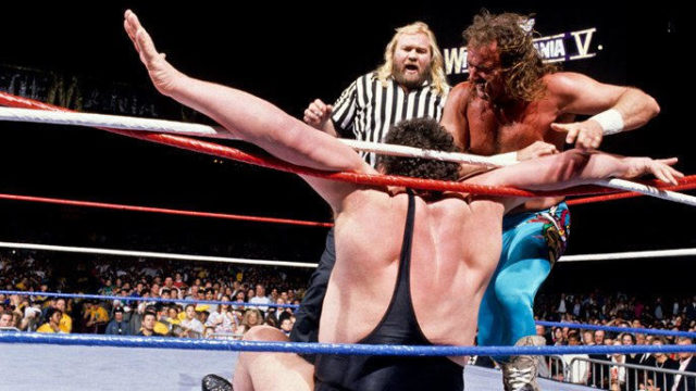 WWF WrestleMania V