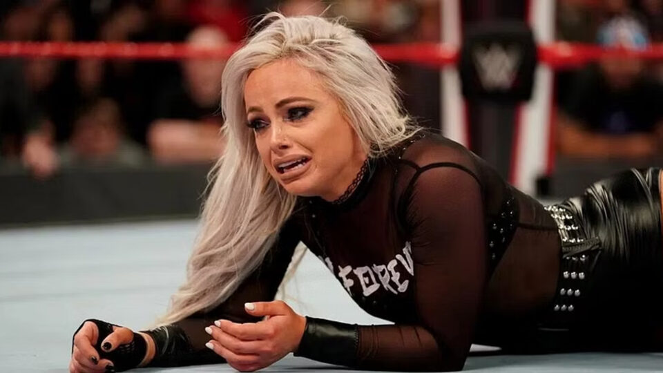 Liv Morgan's Arrest Branded A Joke By WWE Hall Of Famer – TJR Wrestling