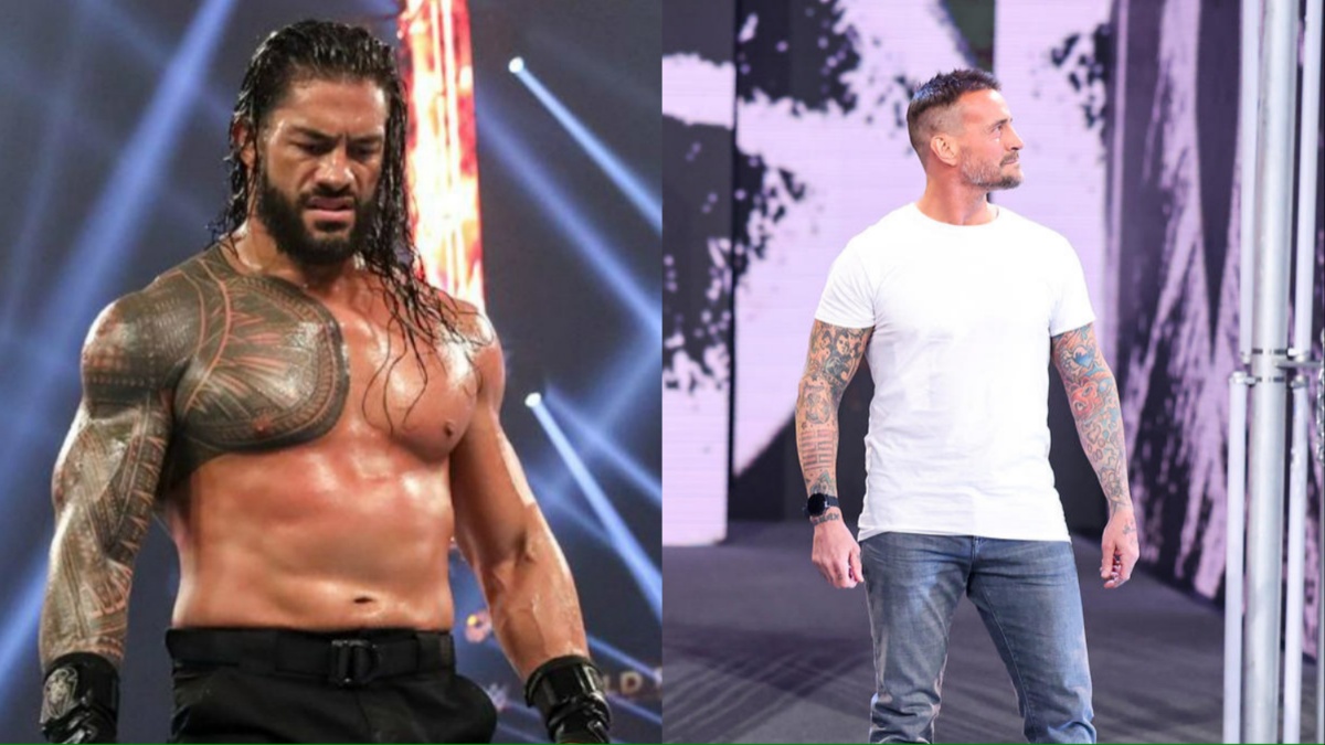 Major WWE Star Expresses Concern About Planned CM Punk Vs Roman Reigns Match